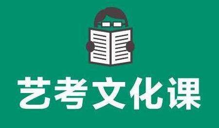 藝路同行 高三藝術(shù)生的文化課規(guī)劃與自我賦能